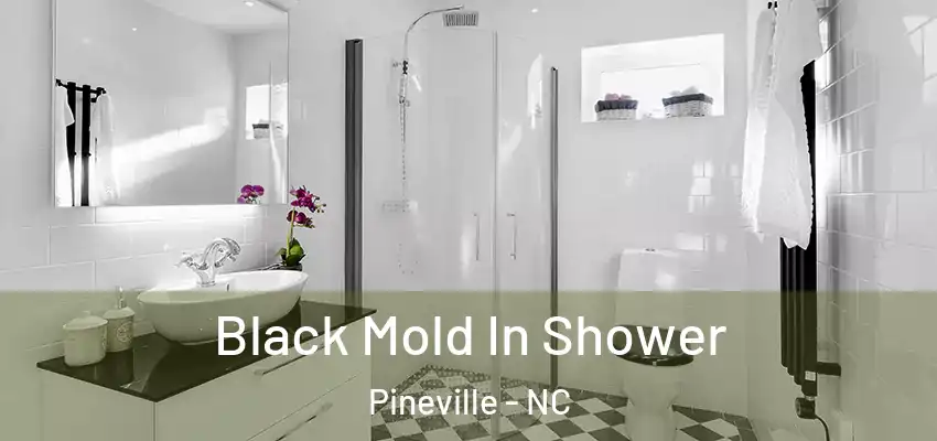 Black Mold In Shower Pineville - NC