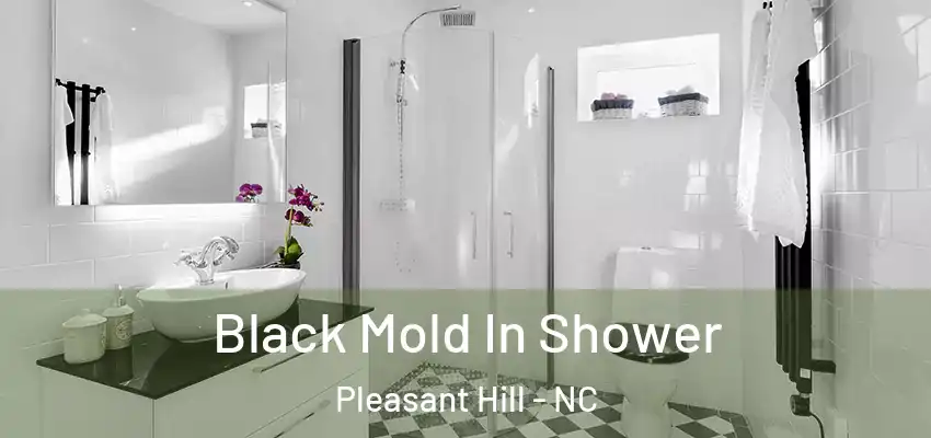  Black Mold In Shower Pleasant Hill - NC