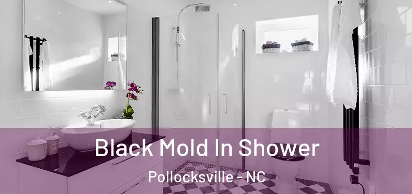  Black Mold In Shower Pollocksville - NC