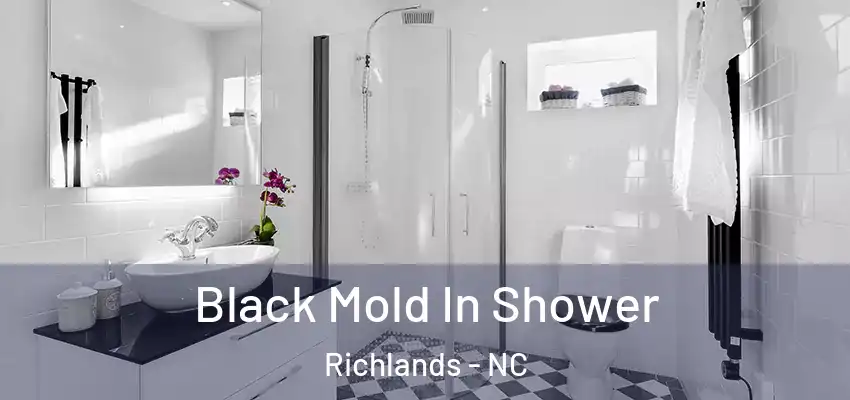  Black Mold In Shower Richlands - NC