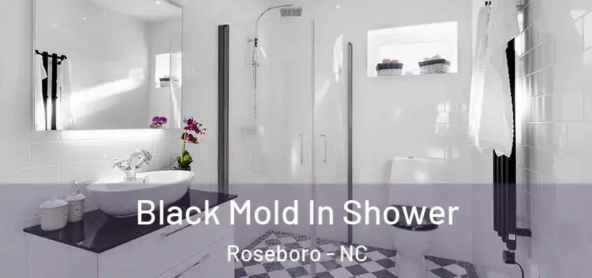  Black Mold In Shower Roseboro - NC