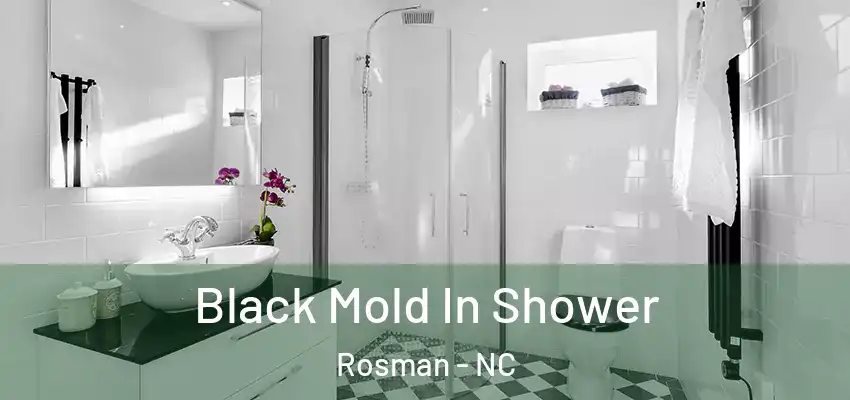  Black Mold In Shower Rosman - NC