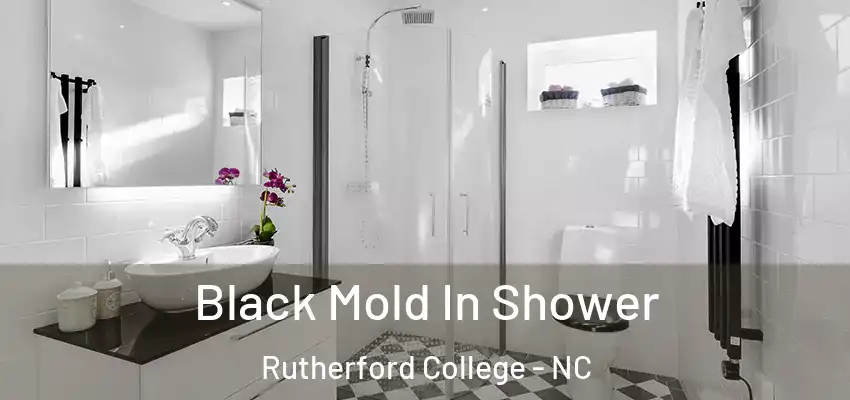 Black Mold In Shower Rutherford College - NC