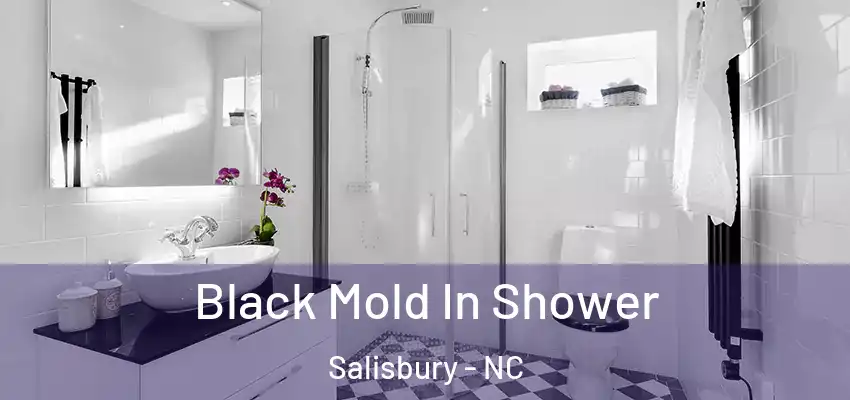Black Mold In Shower Salisbury - NC