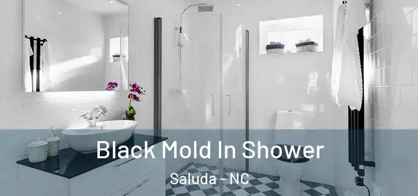  Black Mold In Shower Saluda - NC