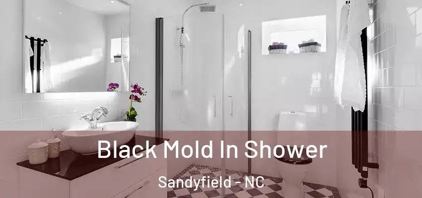 Black Mold In Shower Sandyfield - NC