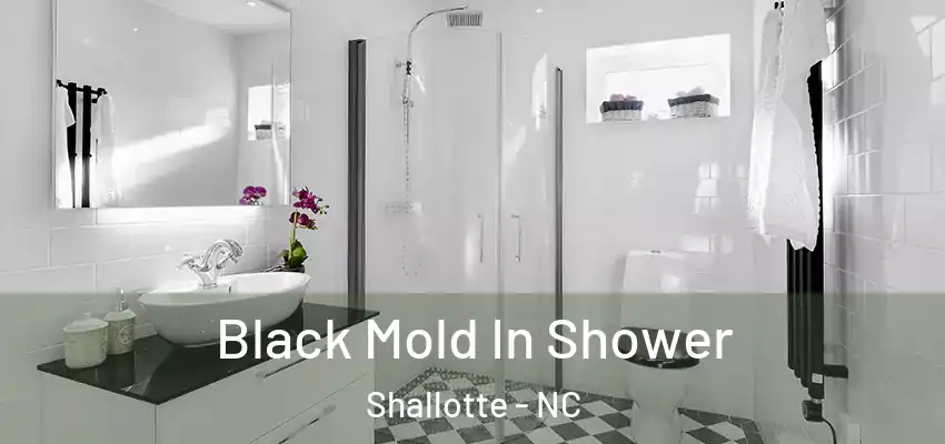  Black Mold In Shower Shallotte - NC