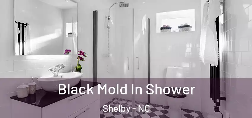 Black Mold In Shower Shelby - NC
