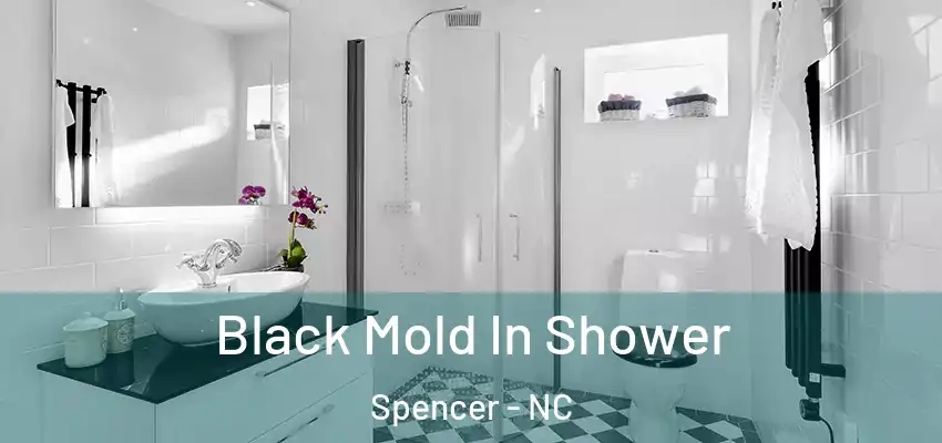 Black Mold In Shower Spencer - NC
