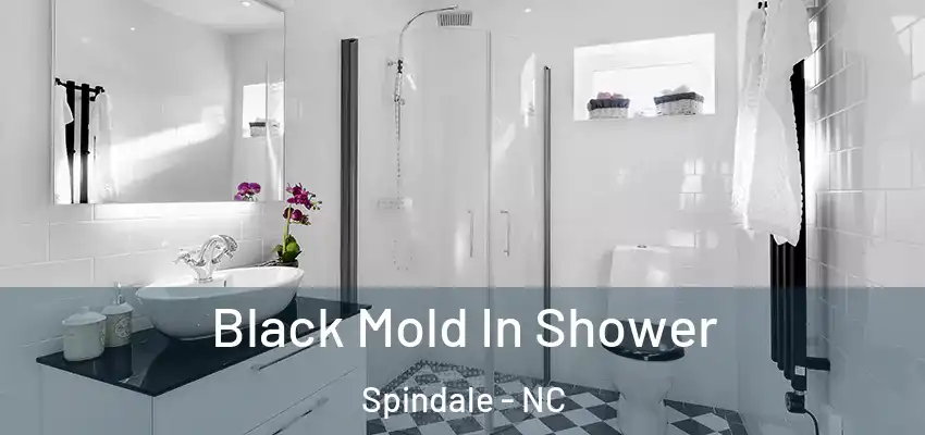 Black Mold In Shower Spindale - NC