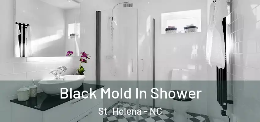 Black Mold In Shower St. Helena - NC