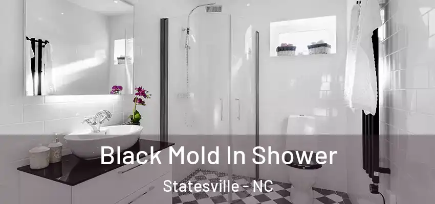  Black Mold In Shower Statesville - NC