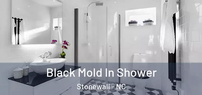  Black Mold In Shower Stonewall - NC