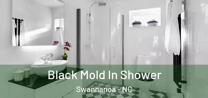  Black Mold In Shower Swannanoa - NC