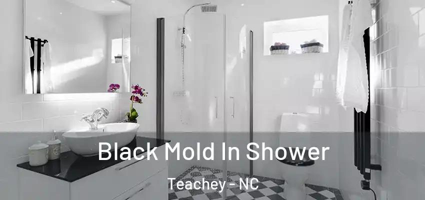 Black Mold In Shower Teachey - NC