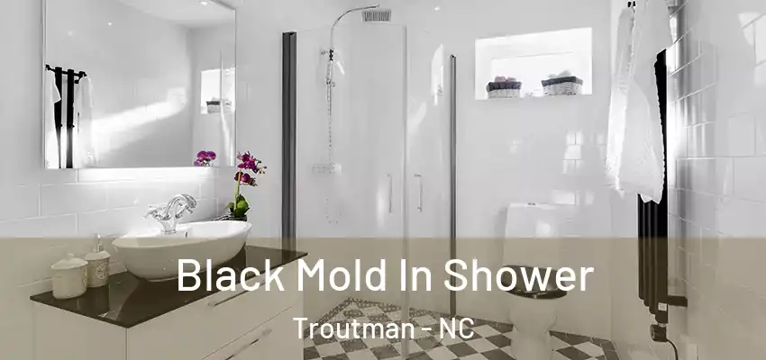 Black Mold In Shower Troutman - NC