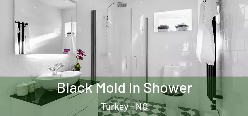  Black Mold In Shower Turkey - NC