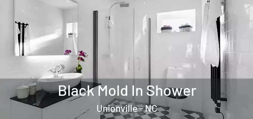Black Mold In Shower Unionville - NC