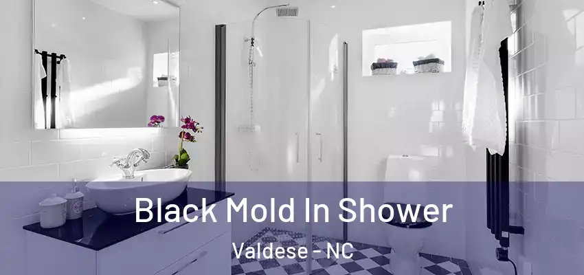 Black Mold In Shower Valdese - NC