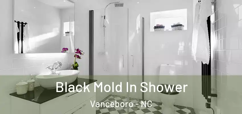 Black Mold In Shower Vanceboro - NC