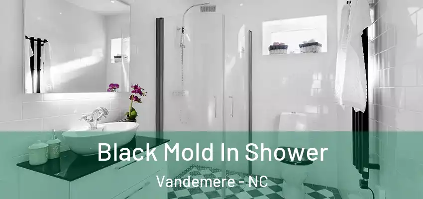 Black Mold In Shower Vandemere - NC