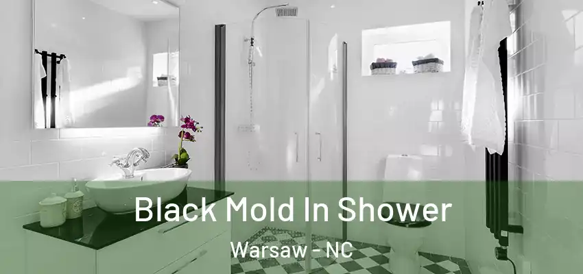 Black Mold In Shower Warsaw - NC
