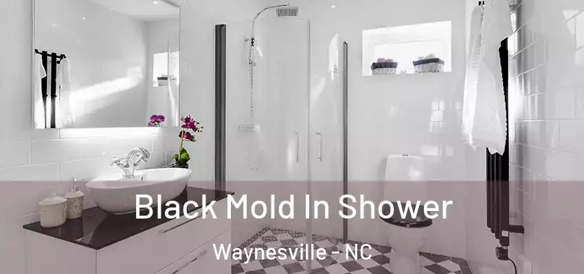 Black Mold In Shower Waynesville - NC