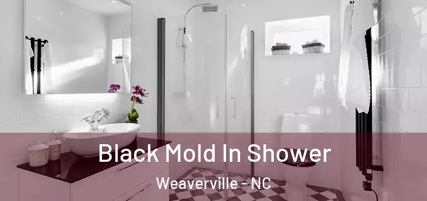  Black Mold In Shower Weaverville - NC