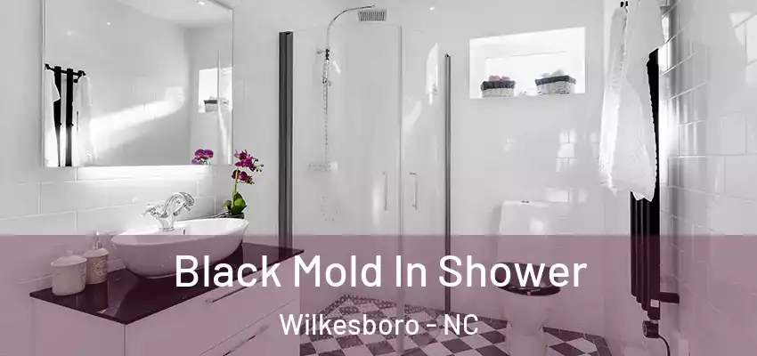  Black Mold In Shower Wilkesboro - NC