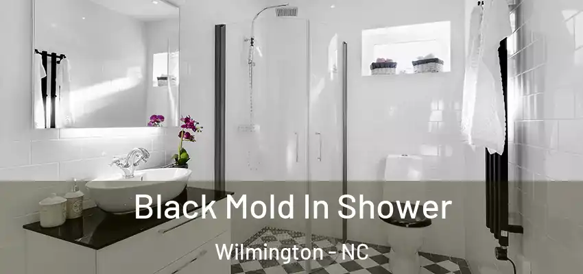  Black Mold In Shower Wilmington - NC