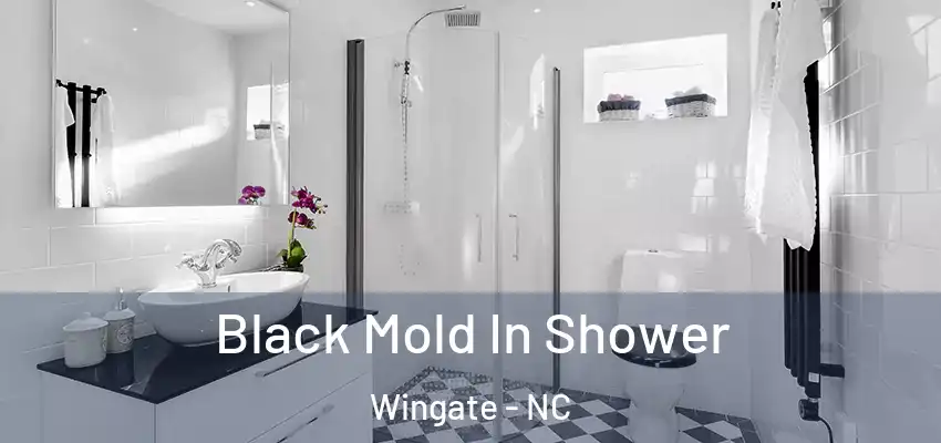 Black Mold In Shower Wingate - NC