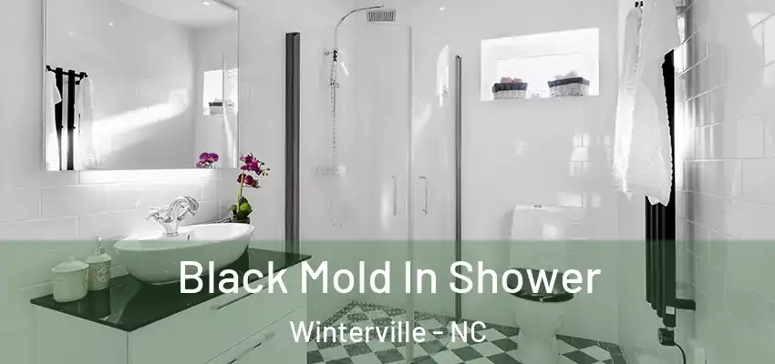  Black Mold In Shower Winterville - NC