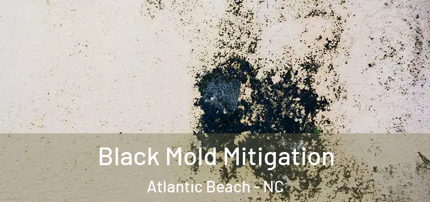 Black Mold Mitigation Atlantic Beach - NC