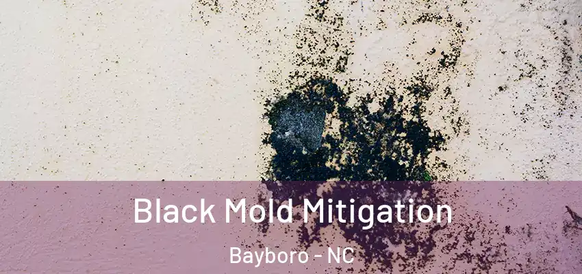 Black Mold Mitigation Bayboro - NC