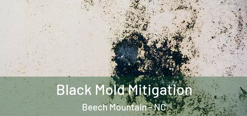  Black Mold Mitigation Beech Mountain - NC