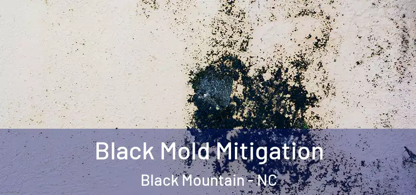  Black Mold Mitigation Black Mountain - NC