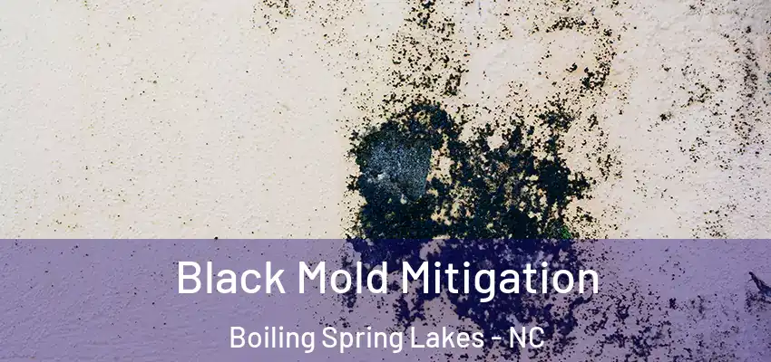  Black Mold Mitigation Boiling Spring Lakes - NC