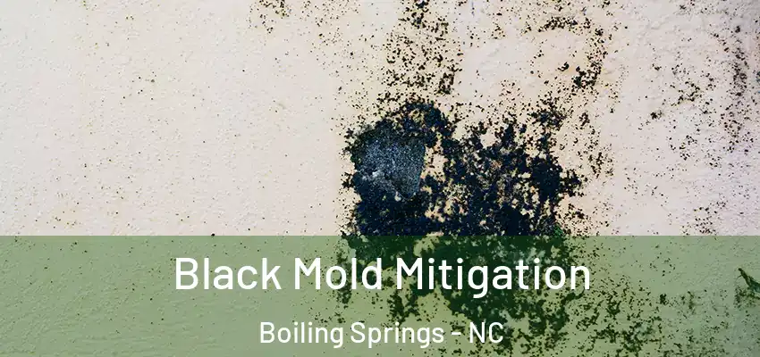  Black Mold Mitigation Boiling Springs - NC