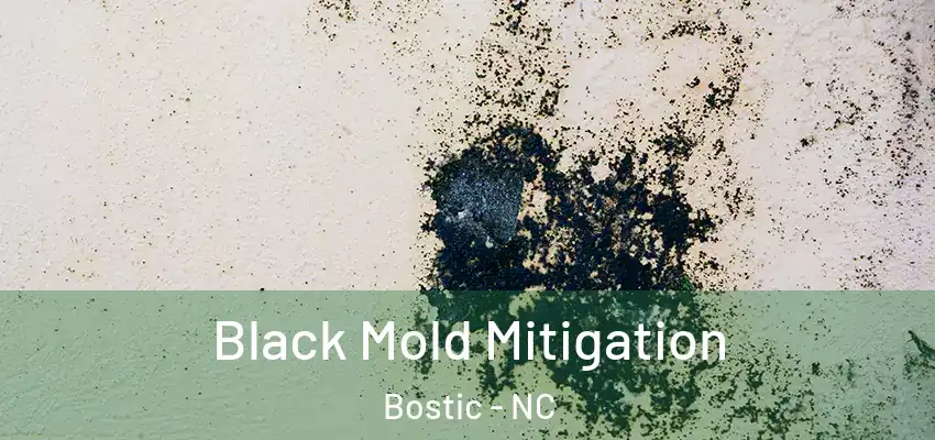  Black Mold Mitigation Bostic - NC