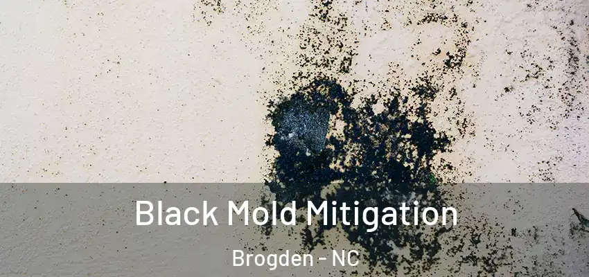  Black Mold Mitigation Brogden - NC