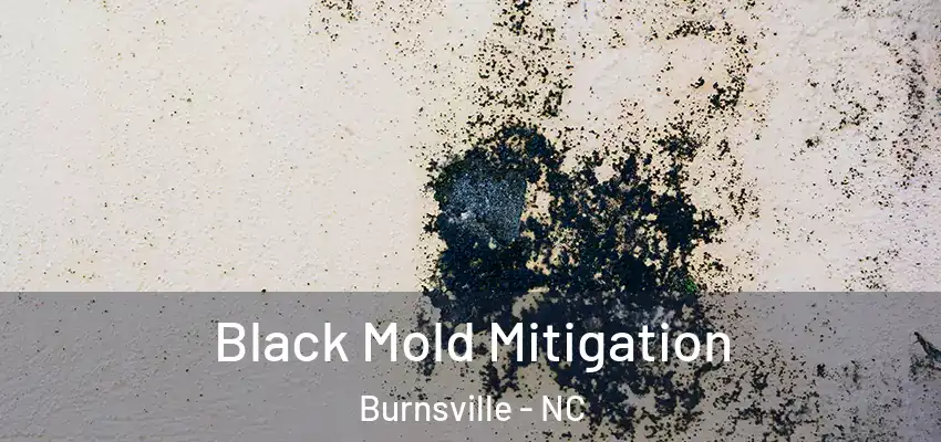  Black Mold Mitigation Burnsville - NC