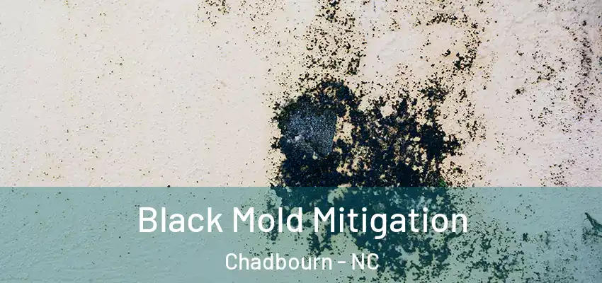  Black Mold Mitigation Chadbourn - NC
