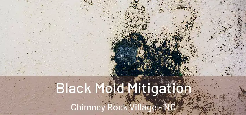  Black Mold Mitigation Chimney Rock Village - NC