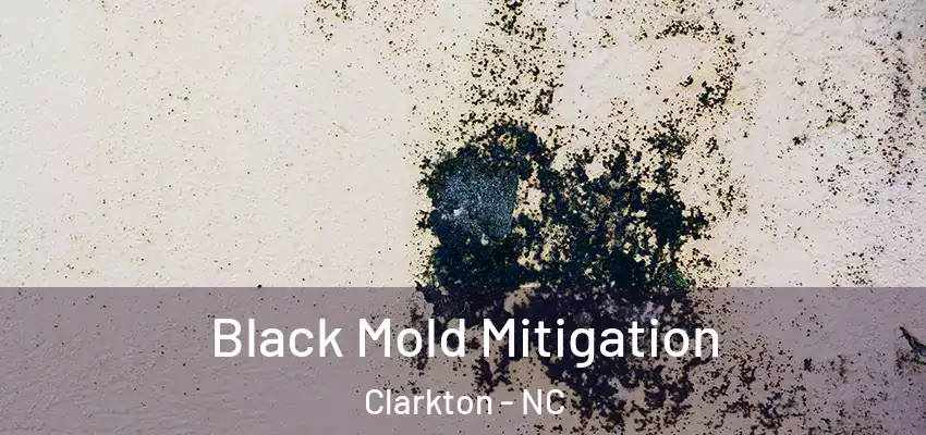  Black Mold Mitigation Clarkton - NC