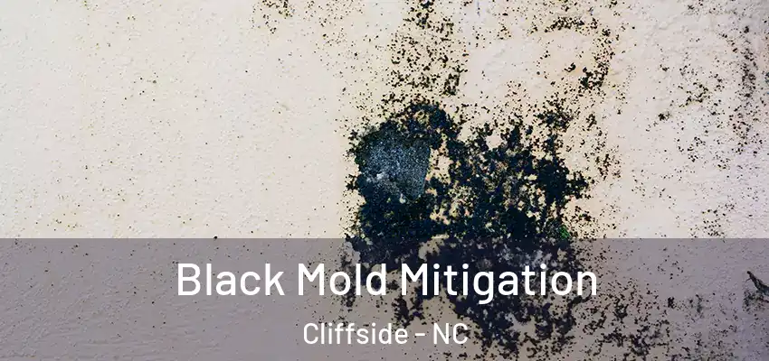  Black Mold Mitigation Cliffside - NC