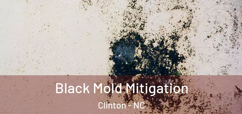  Black Mold Mitigation Clinton - NC