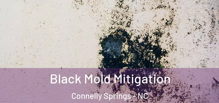  Black Mold Mitigation Connelly Springs - NC