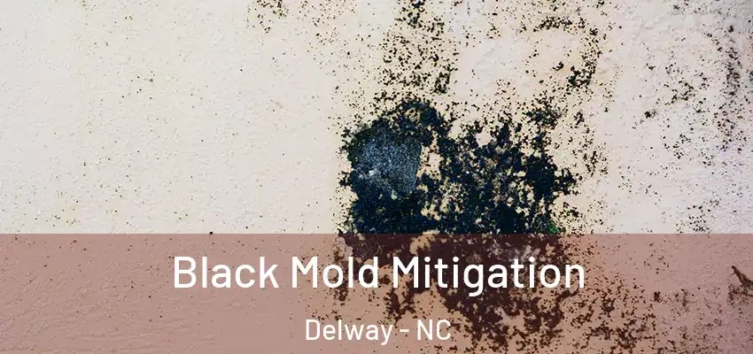 Black Mold Mitigation Delway - NC