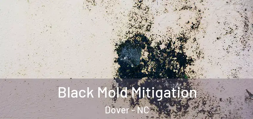 Black Mold Mitigation Dover - NC