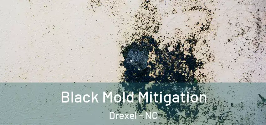 Black Mold Mitigation Drexel - NC